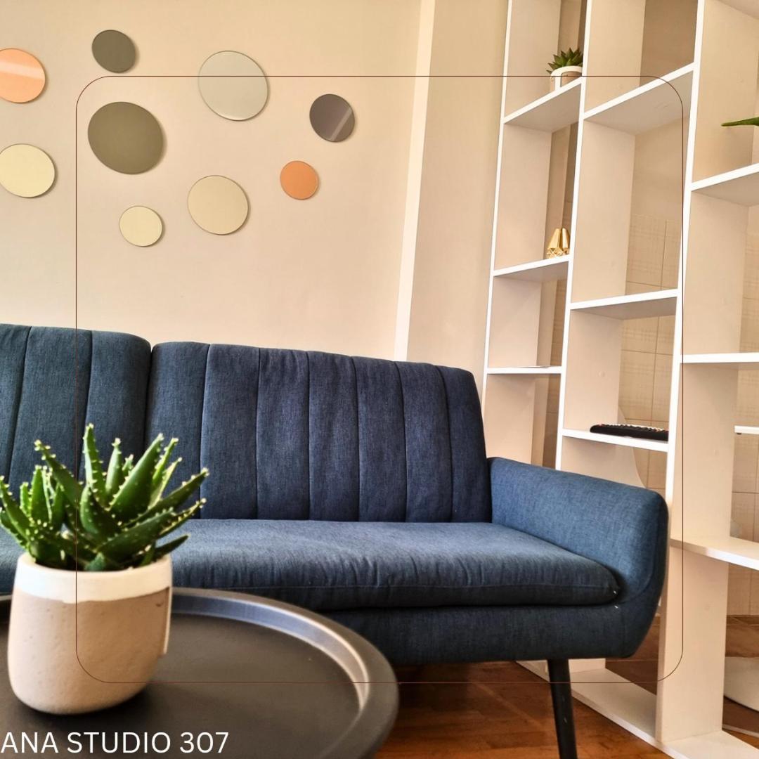 普里什蒂纳Ana Studio 307公寓 外观 照片