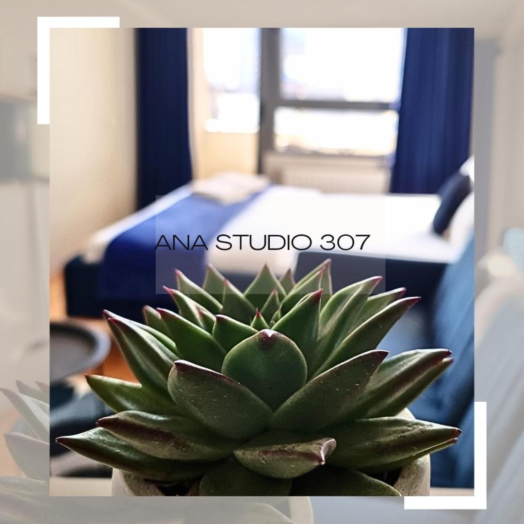 普里什蒂纳Ana Studio 307公寓 外观 照片