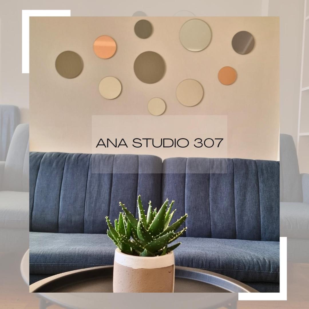 普里什蒂纳Ana Studio 307公寓 外观 照片